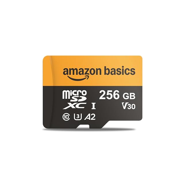 Amazon Basics microSDXC-Karte mit 256 GB